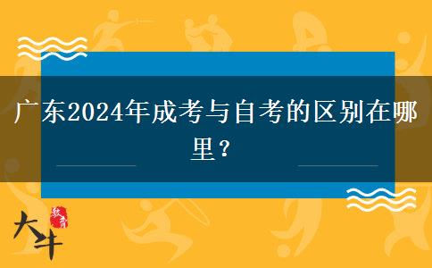 廣東2024年成考與自考的區(qū)別在哪里？