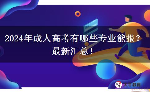2024年成人高考有哪些專業(yè)能報(bào)？最新匯總！