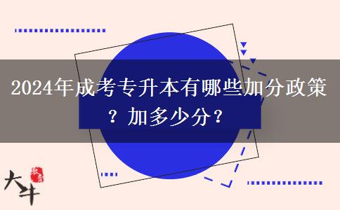 2024年成考專升本有哪些加分政策？加多少分？
