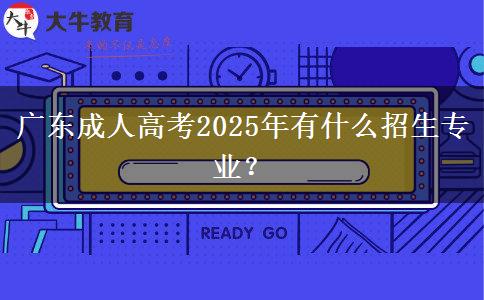 廣東成人高考2025年有什么招生專業(yè)？