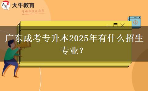 廣東成考專升本2025年有什么招生專業(yè)？