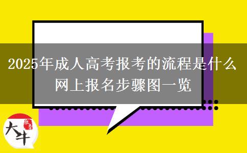 2025年成人高考報(bào)考的流程是什么 網(wǎng)上報(bào)名步驟圖一覽