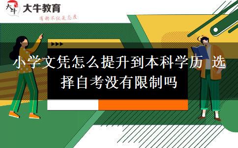 小學(xué)文憑怎么提升到本科學(xué)歷 選擇自考沒有限制嗎