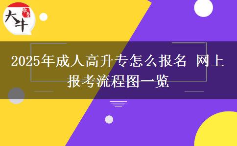 2025年成人高升專怎么報(bào)名 網(wǎng)上報(bào)考流程圖一覽