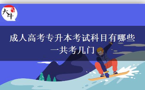 成人高考專升本考試科目有哪些 一共考幾門