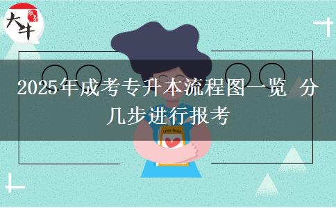 2025年成考專升本流程圖一覽 分幾步進(jìn)行報(bào)考
