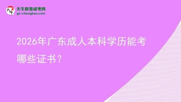 2026年廣東成人本科學(xué)歷能考哪些證書？圖片