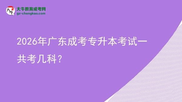 2026年廣東成考專升本考試一共考幾科？圖片