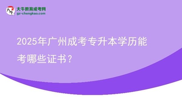 2025年廣州成考專升本學歷能考哪些證書？圖片